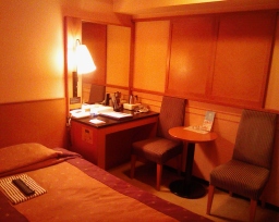 ホテル リステル新宿客室内の椅子