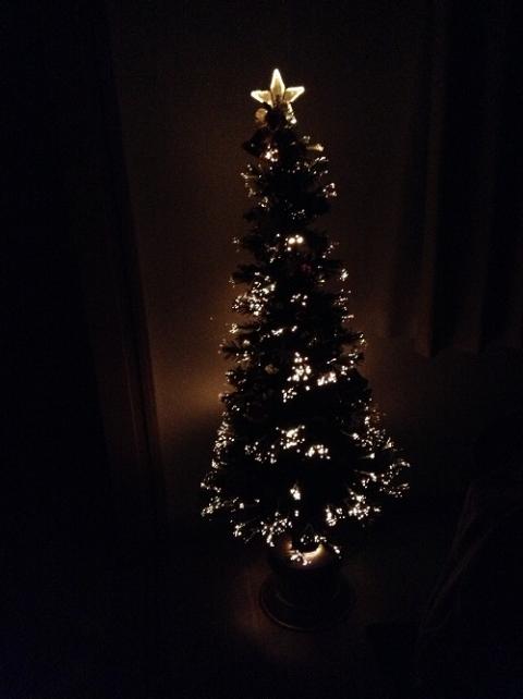 自宅のリビングで幻想的な光で輝くクリスマスツリーに見惚れる