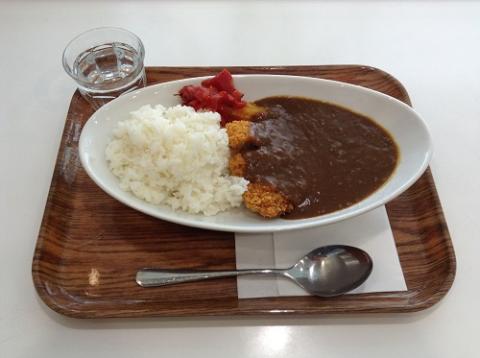 羽田空港の「ANA FESTA 59番ゲート フードショップ」でカツカレーを食べた