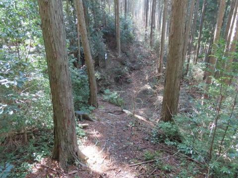 総津権現山の山頂から馬の瀬、遊歩道を通って下山 -娘と登山-