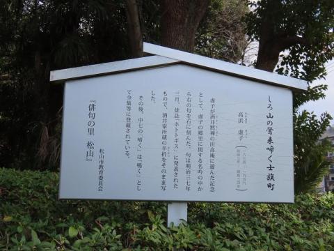 松山神社駐車場から唐門へ ― 桜・ヒヨドリ・メジロ・松山城が美しい