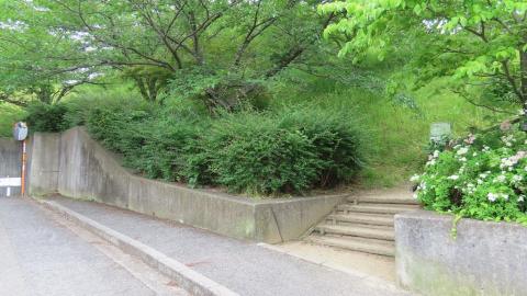 松山総合公園第3駐車場北側市道沿いの駐輪場にバイクを停めて公園に向かう