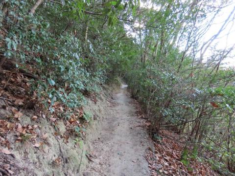 淡路ヶ峠「青い空 坊ちゃんコース」登山口から最初の分岐点までの道のり