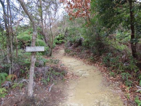 淡路ヶ峠 坊ちゃん・マドンナ・赤シャツコース分岐点から展望台までの道のり
