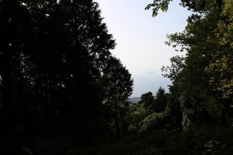 谷上山 見晴らし台から山頂までの道のり