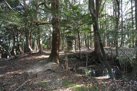 谷上山 山頂から下山開始（分岐点と見晴らし台の動画あり）