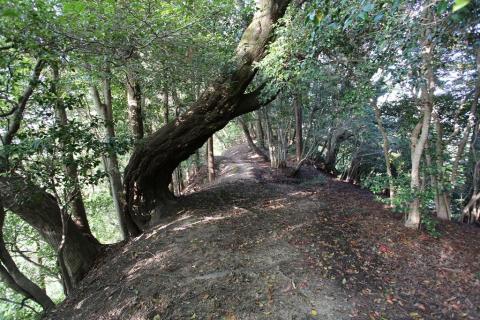 谷上山｜見晴らし台から登山口・宝珠寺・正岡子規句碑まで