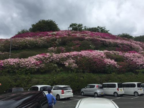 冨士山公園展望台から眺めた赤色やピンク色のツツジで彩られた山頂付近