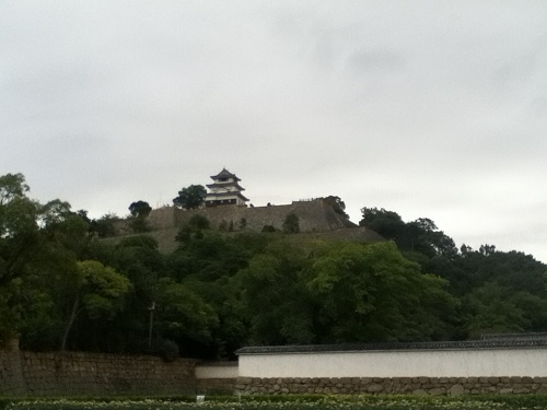 丸亀城の綺麗な石垣と天守閣
