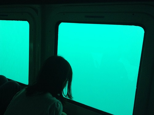 海中展望船「愛媛観光船ユメカイナ（愛南町西海観光船）」の海中展望室内の窓から海中を眺める娘