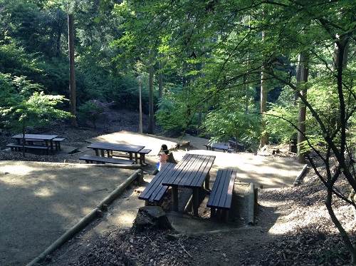 えひめ森林公園のキャンプ場の山の斜面を切り開いて設置されている木造のテーブルと長椅子