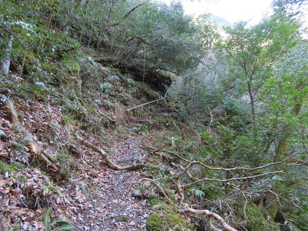 広田石鎚(総津権現山)3:登り道