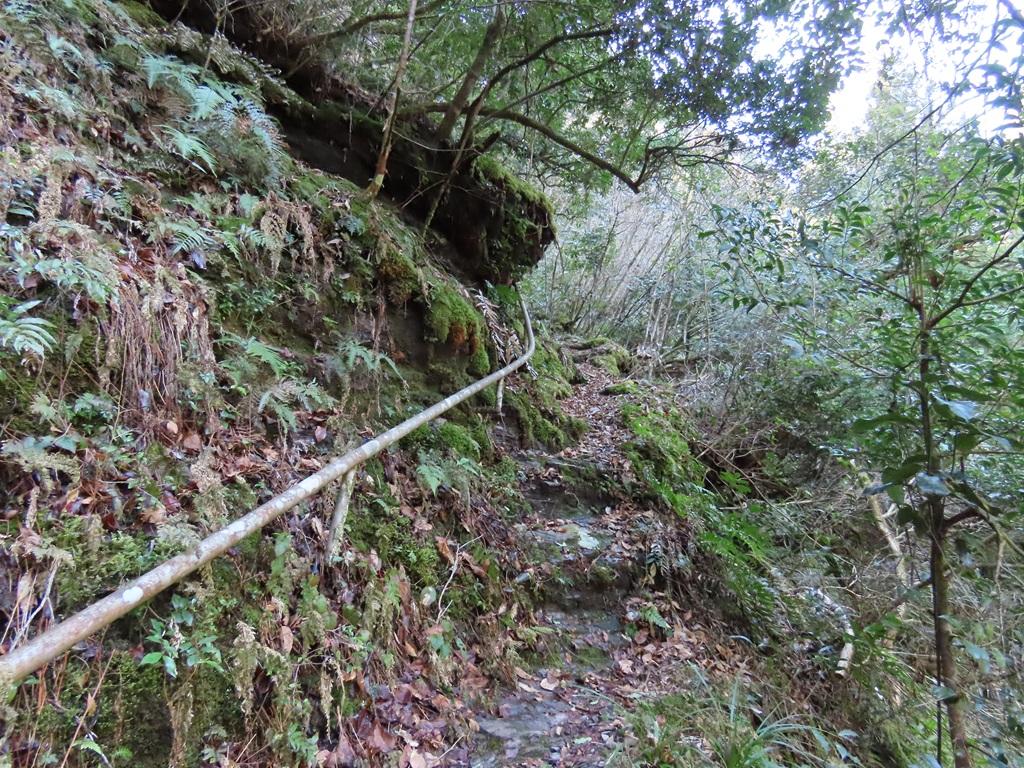 広田石鎚(総津権現山)4:登り道