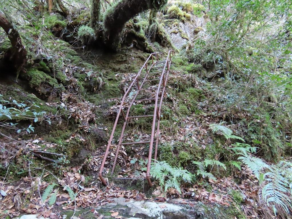 広田石鎚(総津権現山)5:鉄の梯子