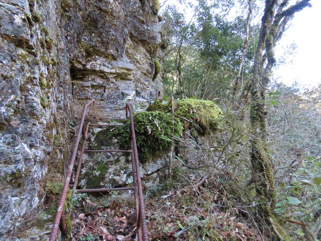 広田石鎚(総津権現山)6:鉄の梯子