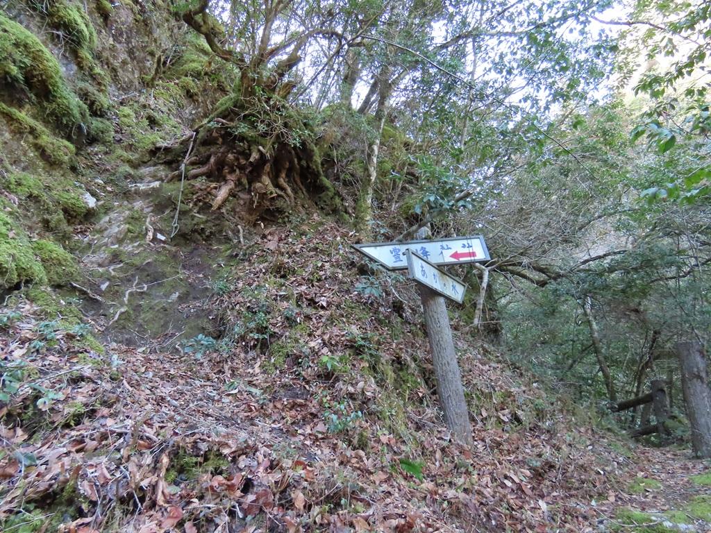 広田石鎚(総津権現山)9:登り道・分かれ道