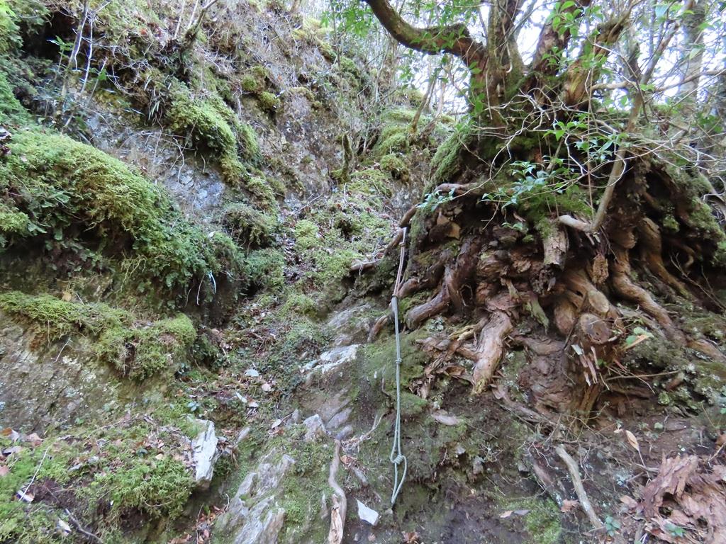 広田石鎚(総津権現山)10:登り道と紐