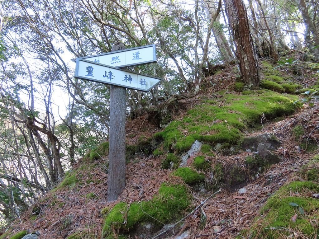 広田石鎚(総津権現山)13:登り道・分かれ道