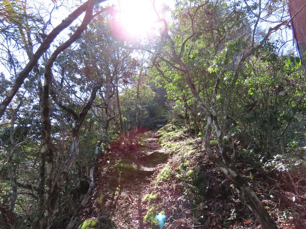 広田石鎚(総津権現山)14:登り道