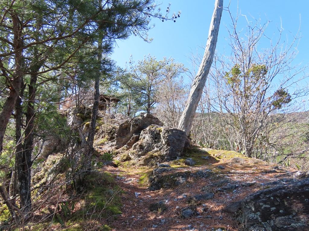 広田石鎚(総津権現山)31:見えてきた山頂