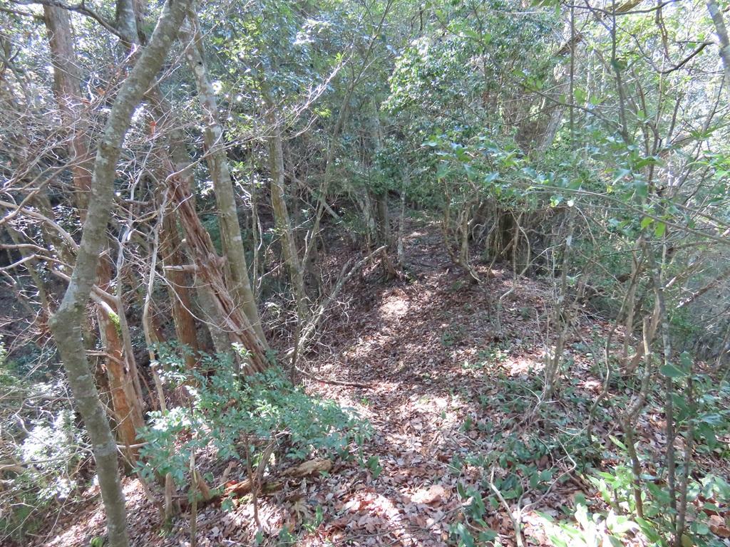 広田石鎚（総津権現山）下り道7：落ち葉で分かり難い道