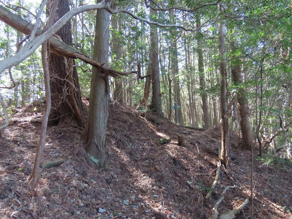 広田石鎚（総津権現山）下り道9：「遊歩道」の標識に向かう道