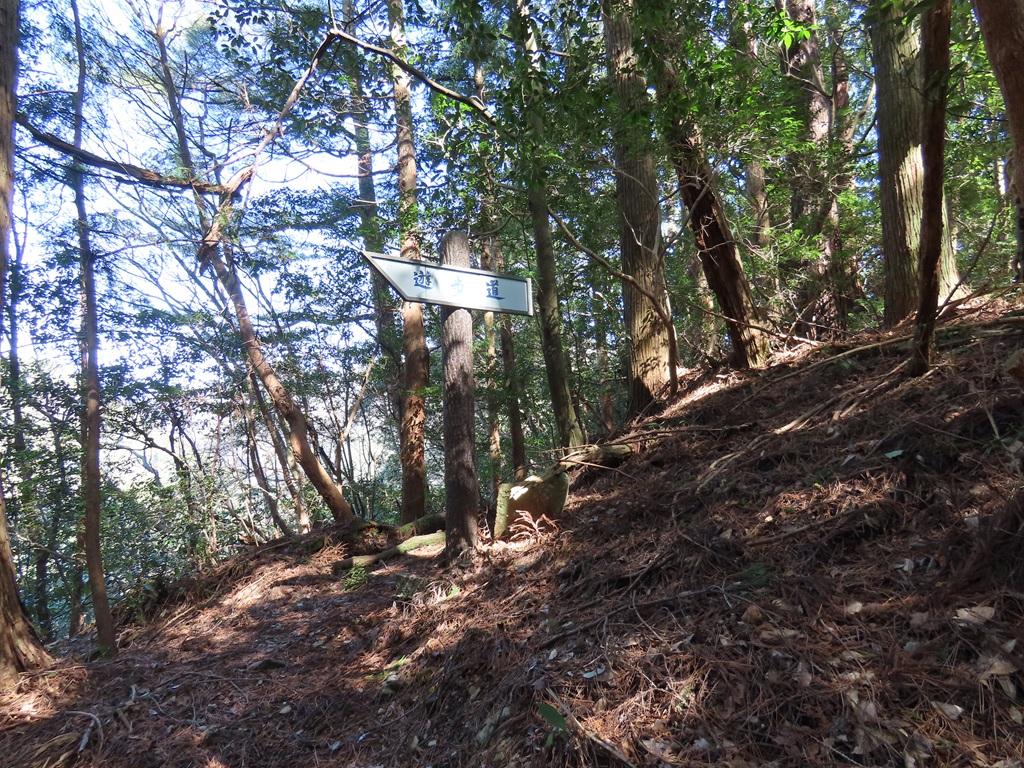 広田石鎚（総津権現山）下り道11：「遊歩道」の標識