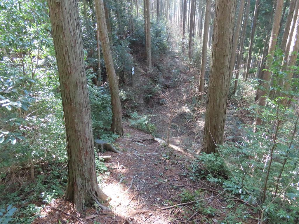 広田石鎚（総津権現山）下り道14：三叉路の道
