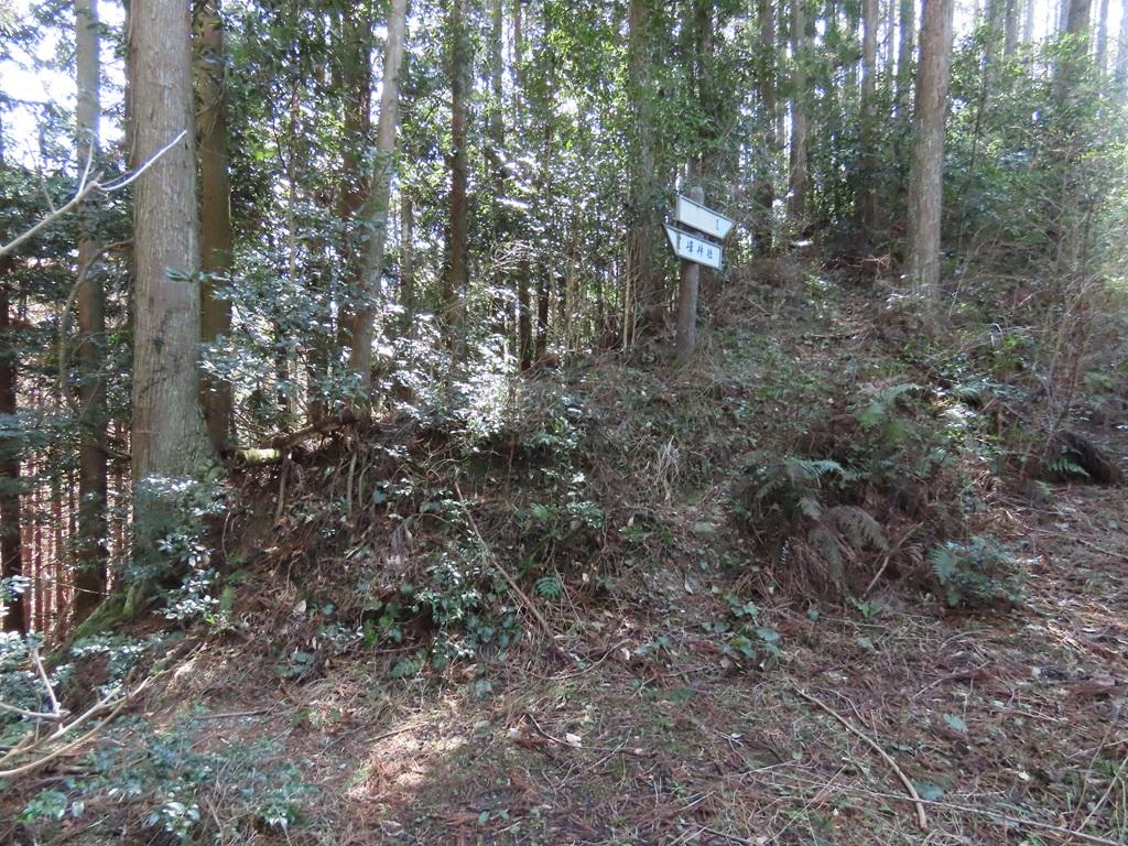 広田石鎚（総津権現山）下り道15：名称不明の標識、豊峰神社の標識