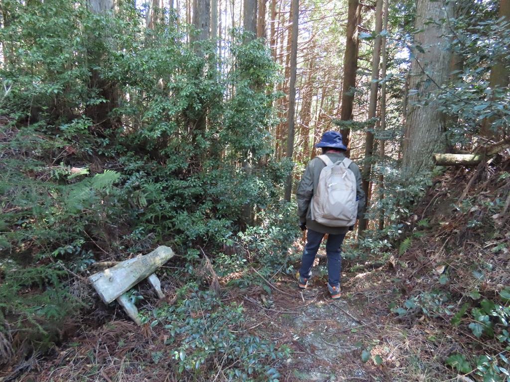 広田石鎚（総津権現山）下り道16：「こちら帰り道」の標識の先の下り道を見下ろす娘