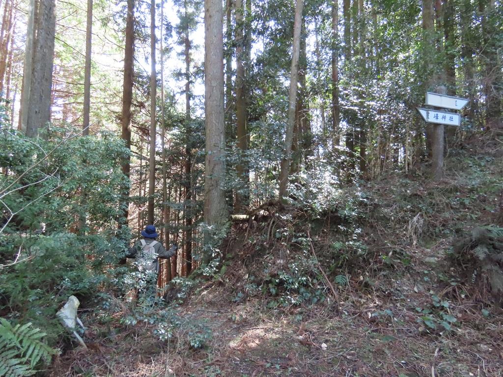 広田石鎚（総津権現山）下り道17：「帰り道」の標識に従って下り道を進む娘