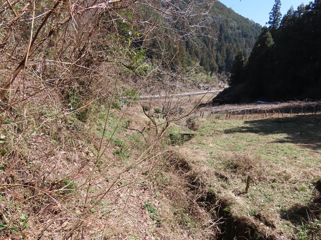 広田石鎚（総津権現山）下り道30：車道に至る山道