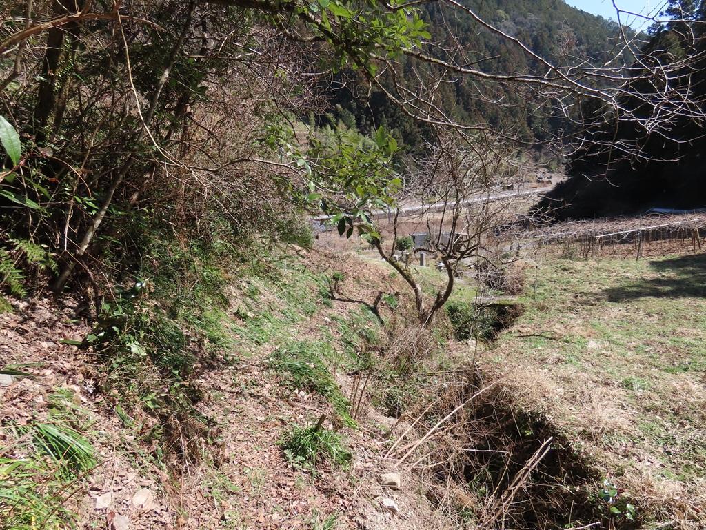 広田石鎚（総津権現山）下り道32：車道に続く山道