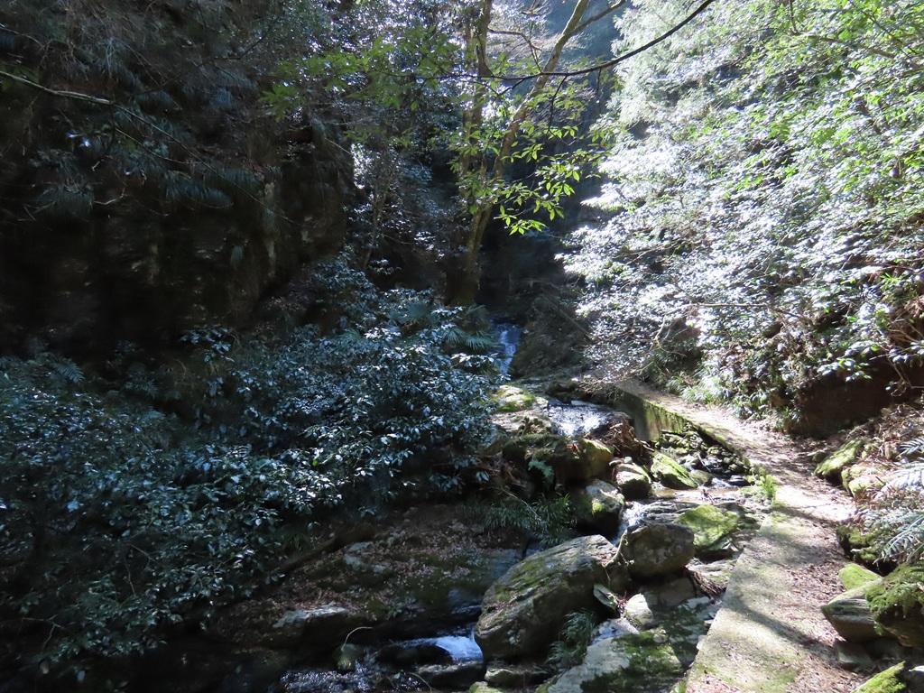 豊峰神社境内3:白糸の滝に向かう道