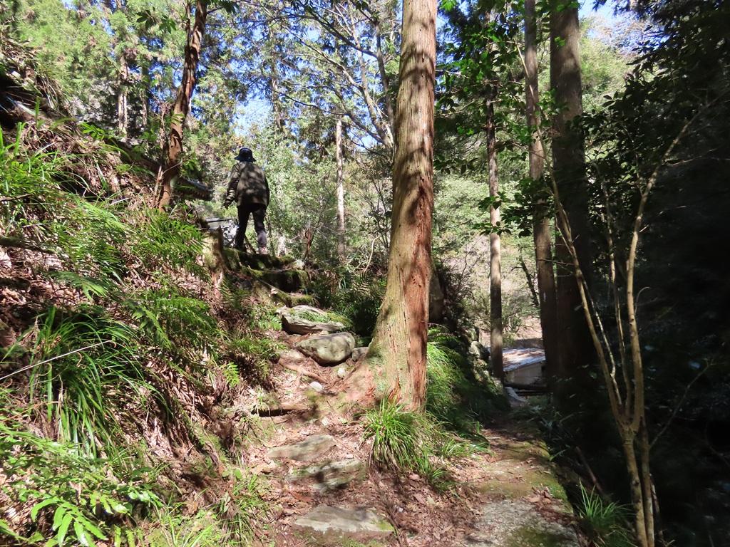 豊峰神社境内12:マントラに向かう登り道