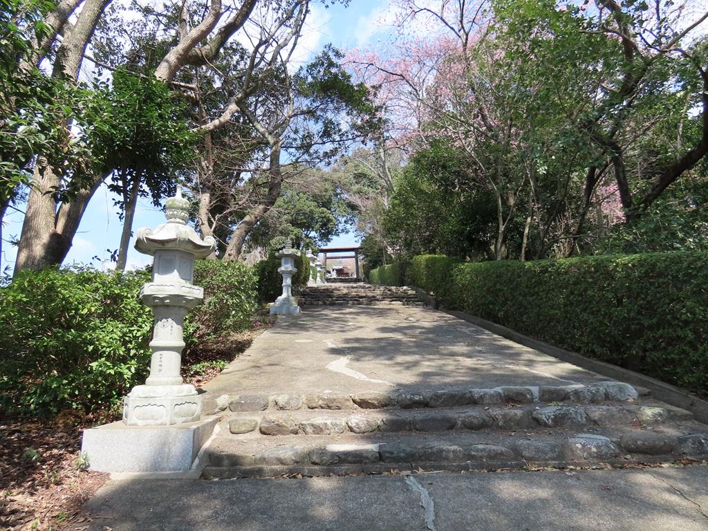 松山神社 石段と桜