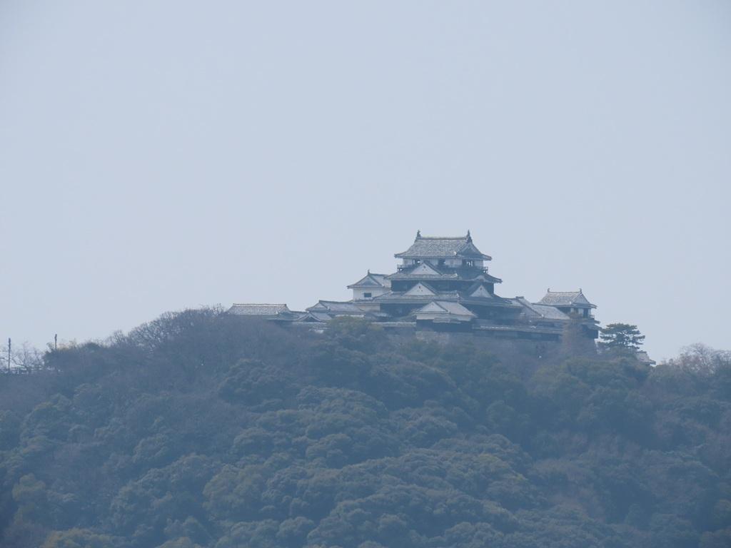 松山神社 唐門・手水舎前から眺める勝山山頂・松山城