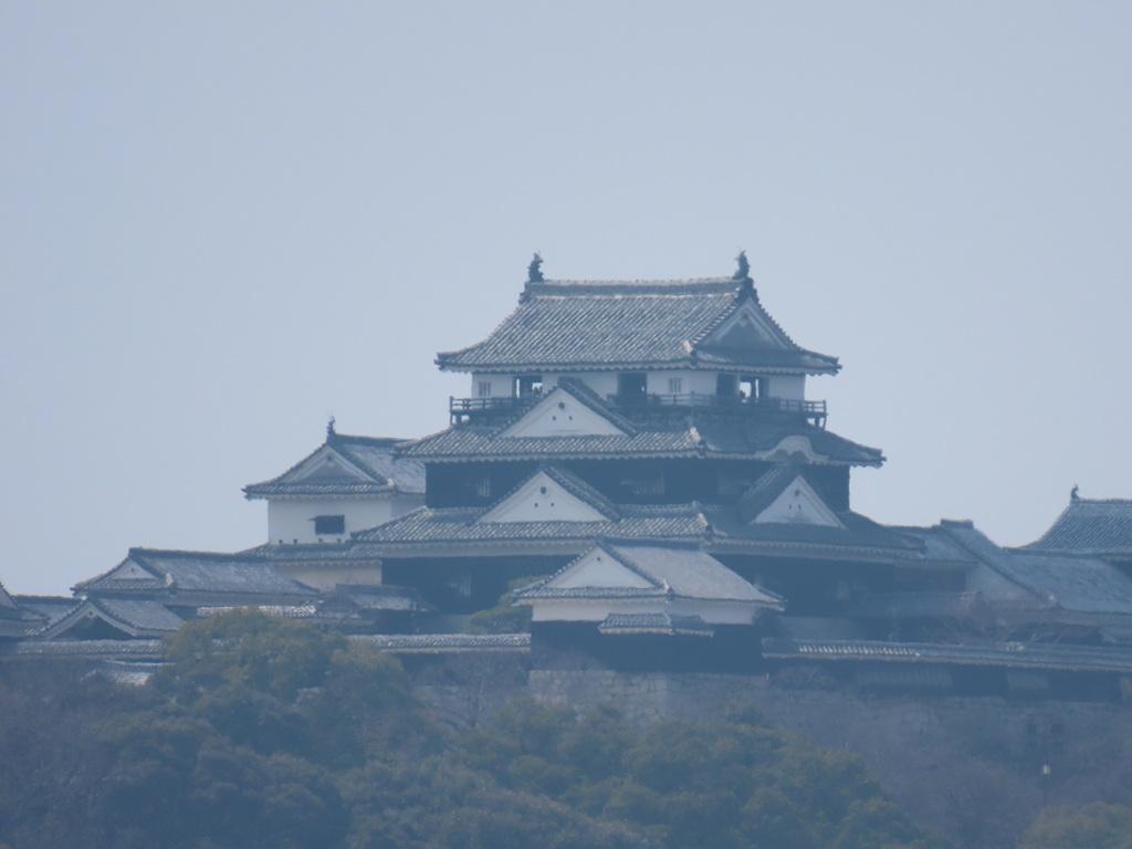 松山神社 唐門・手水舎前から眺める松山城天守閣