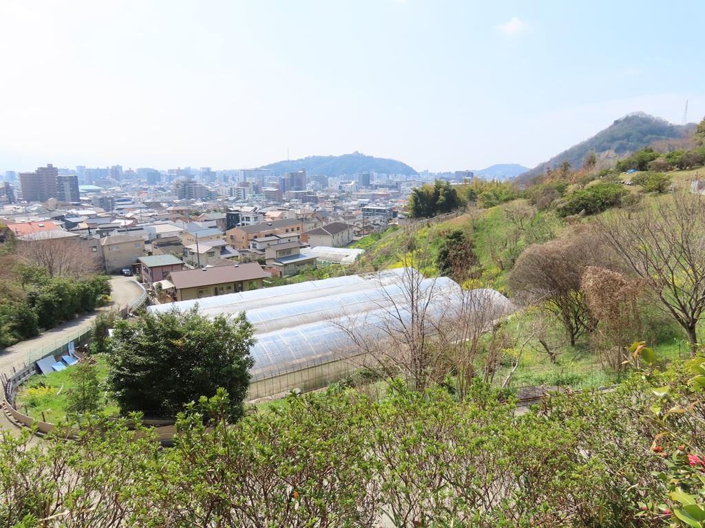 松山神社 裏参道 松山市街