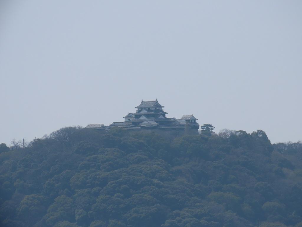 松山神社の裏参道から見た勝山・松山城