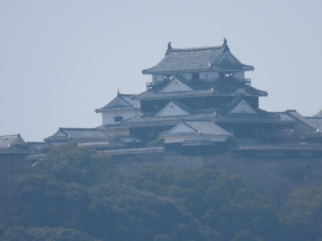 松山神社の裏参道から見た松山城天守閣