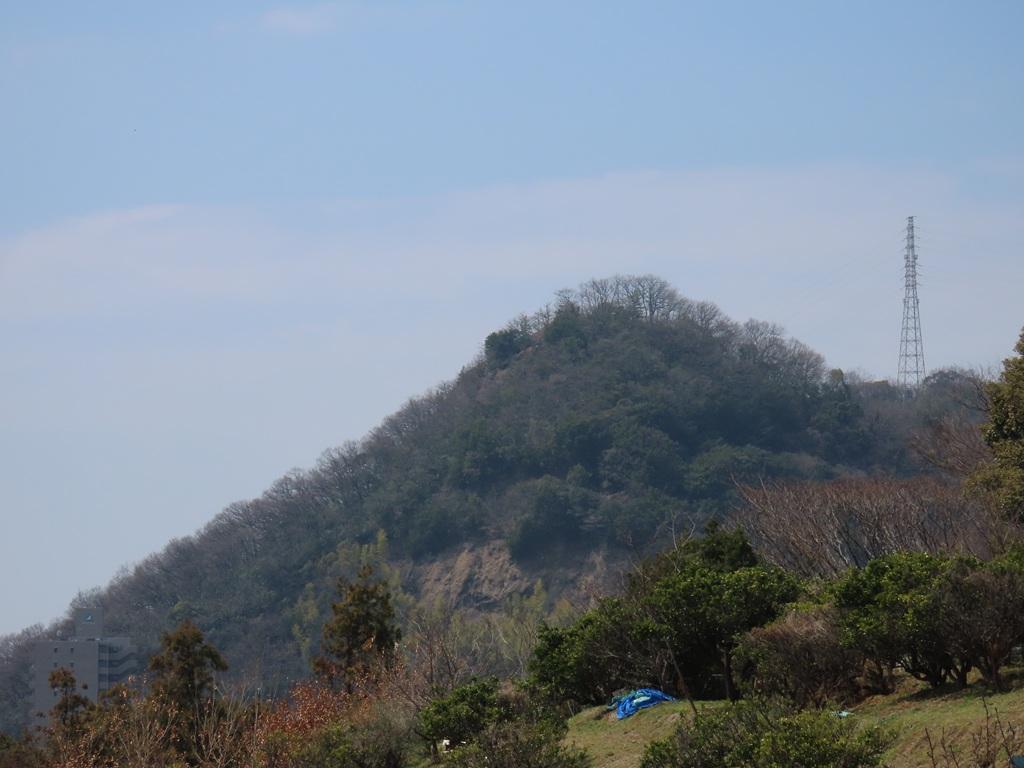 松山神社の裏参道から見た御幸寺山
