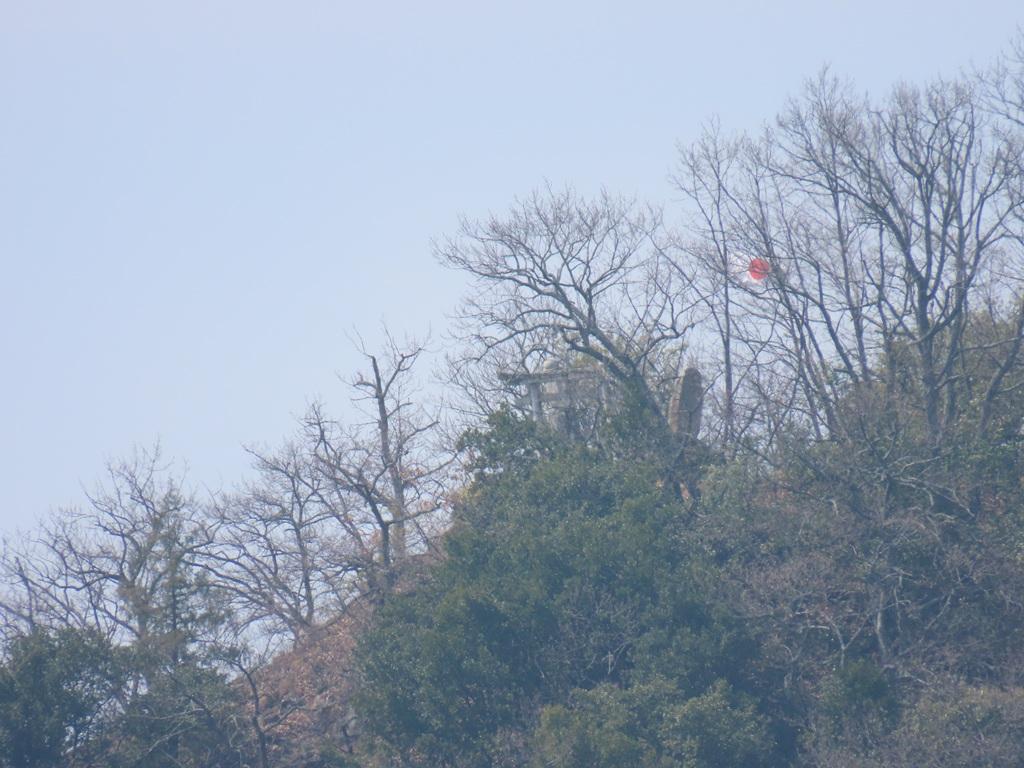 松山神社の裏参道から見た御幸寺山の山頂、鳥居、日本国の国旗