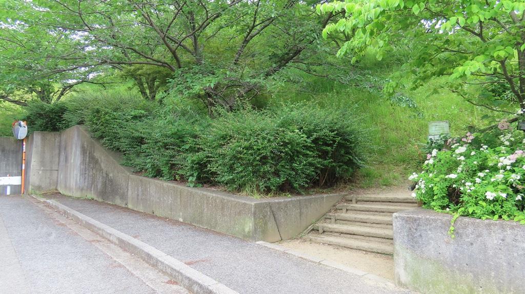 松山総合公園 住宅街 歩道 遊歩道の階段・登り口