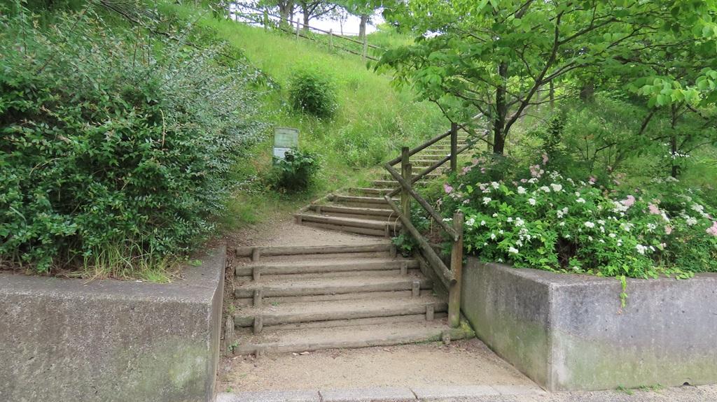 松山総合公園 遊歩道の階段 登り口