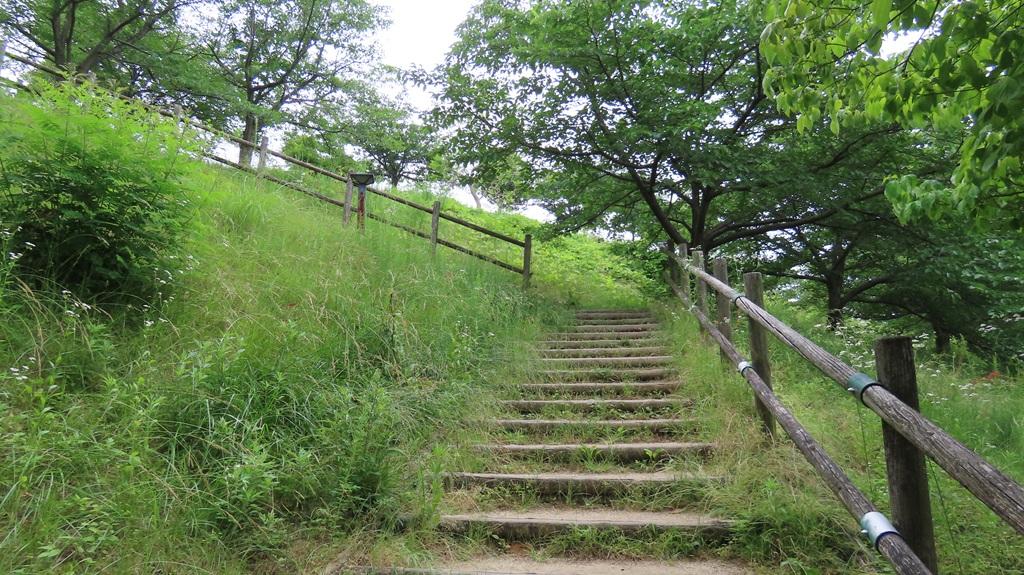 松山総合公園 遊歩道 階段