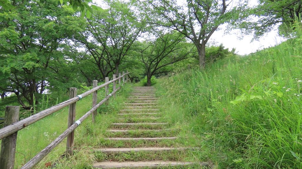 松山総合公園 遊歩道の階段 直線