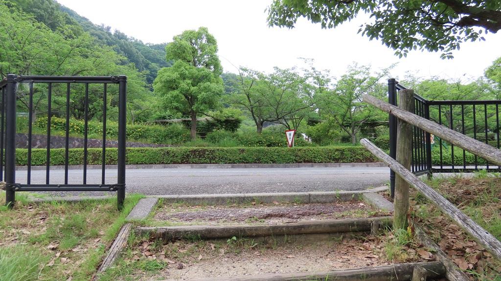 松山総合公園 遊歩道 階段・下り口 第3駐車場前の車道