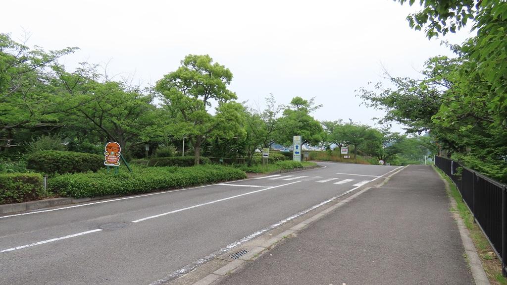 松山総合公園 第3駐車場前の車道