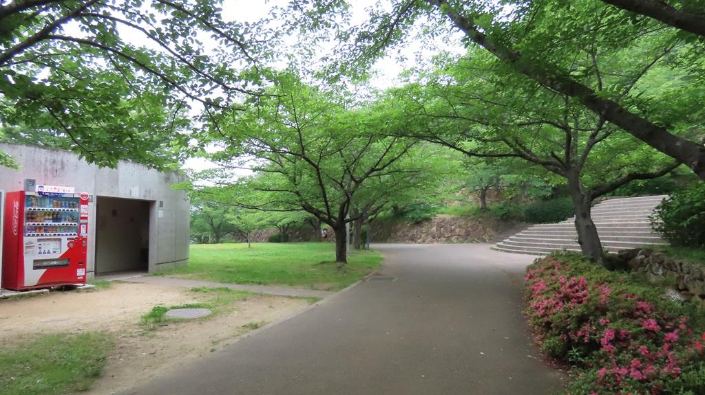 松山総合公園 さくらの丘 トイレ付近